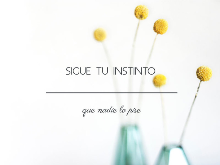 sigue tu instinto