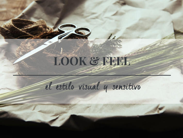 Arantxa-Isidoro_look-and-feel