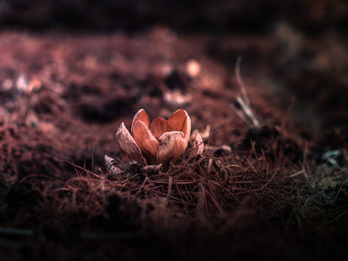 Arantxa Isidoro_reto ig_pic lee-yan-745740-unsplash